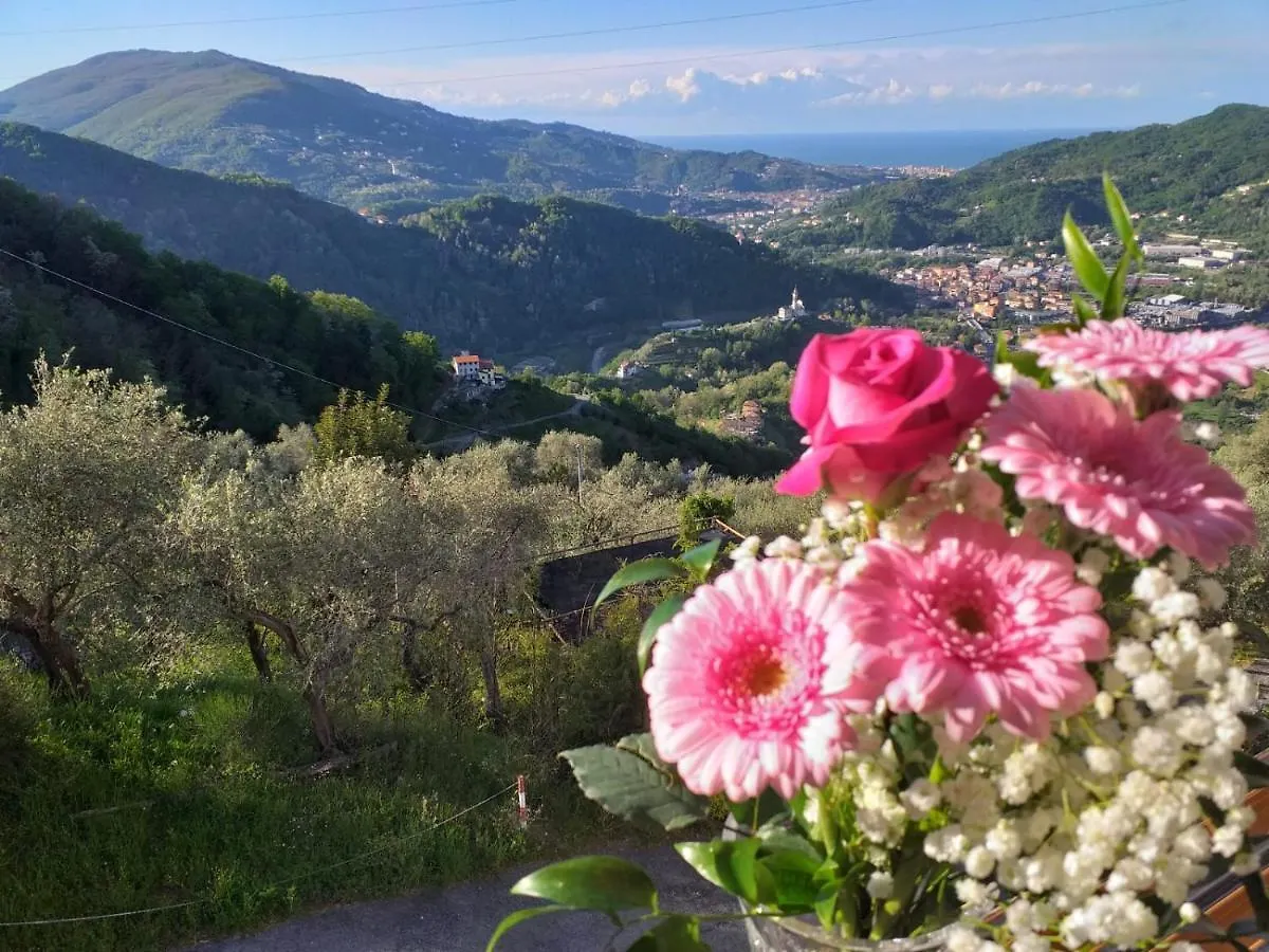 Peace Plenty 2 - A Few Minutes From The Sea Apartment San Martino